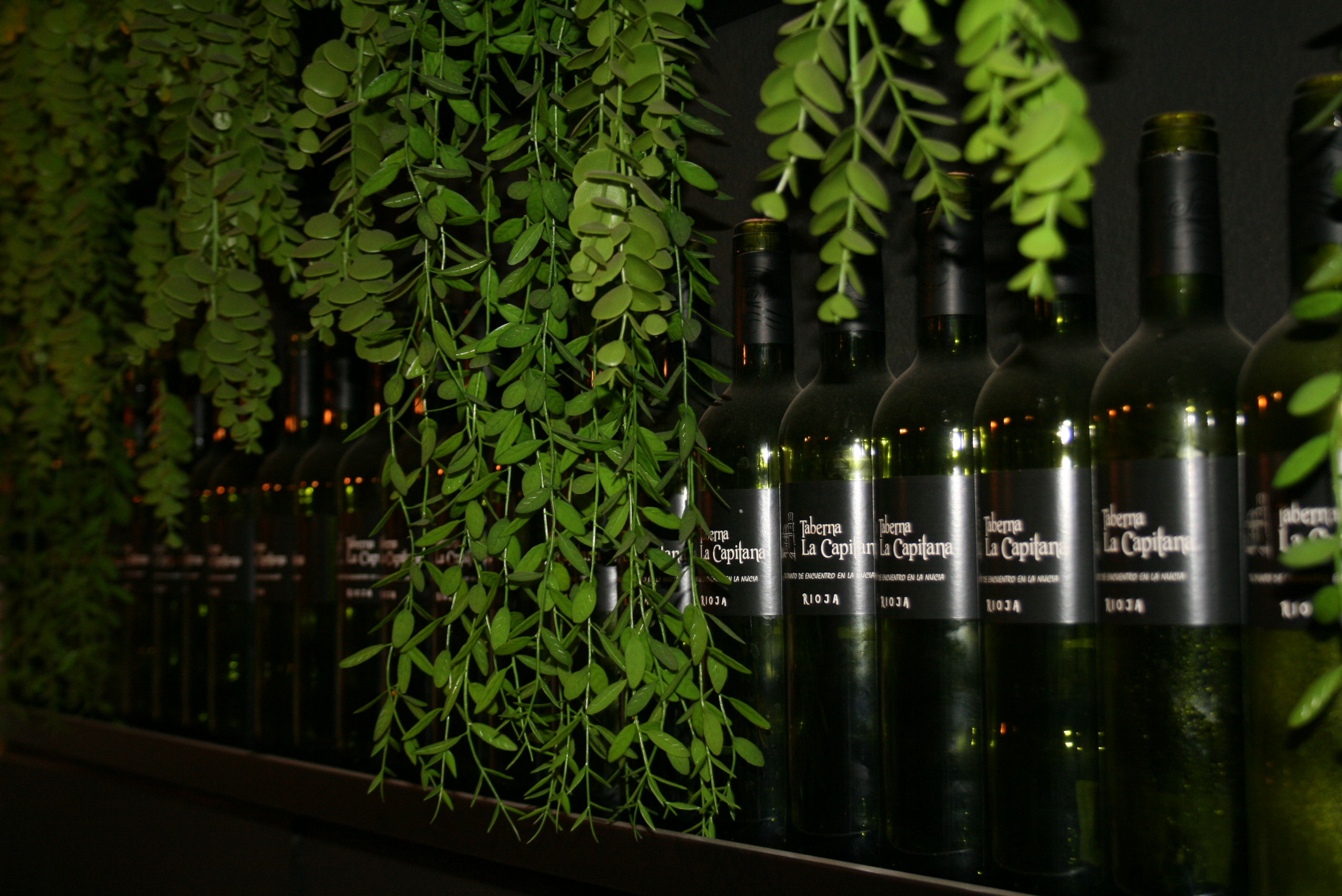 Nuestra bodega